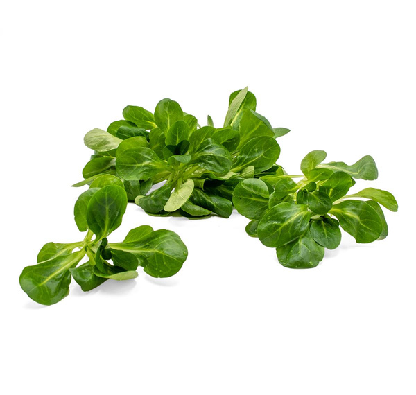 Produktfoto zu Feldsalat