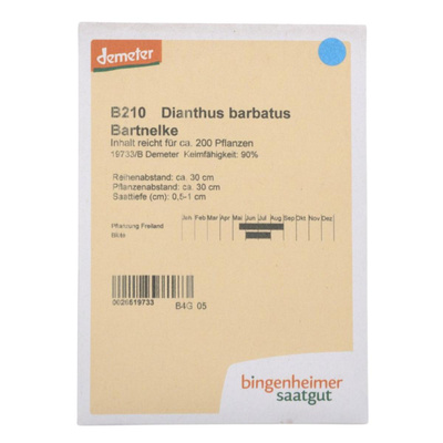 Produktfoto zu Saatgut Bartnelke