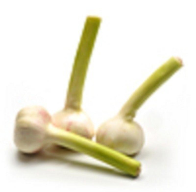 Produktfoto zu Knoblauch, frisch