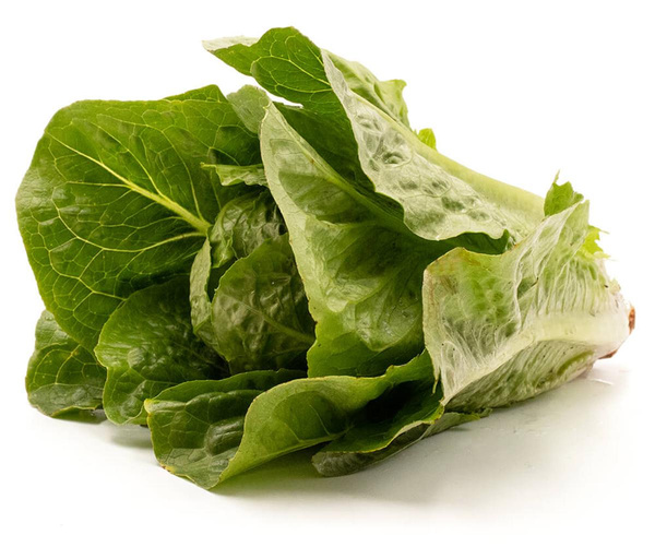 Produktfoto zu Romanasalat