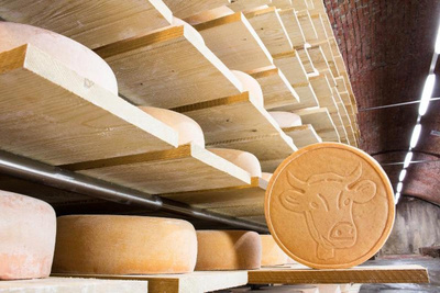 Produktfoto zu Allgäuer Hornkäse, höhlengereift