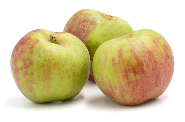 Produktfoto zu Apfel, Gravensteiner