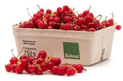 Produktfoto zu 250g  Johannisbeeren rot