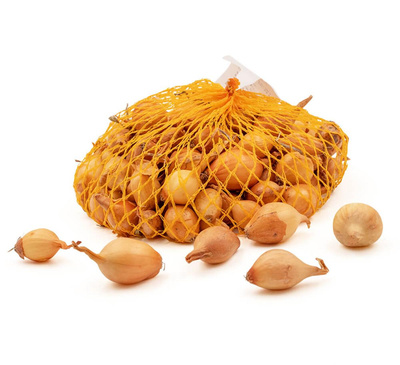 Produktfoto zu Steckzwiebeln ca. 30-35 Stk