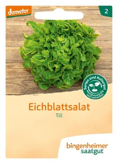 Produktfoto zu Saatgut Eichblattsalat 'Till'