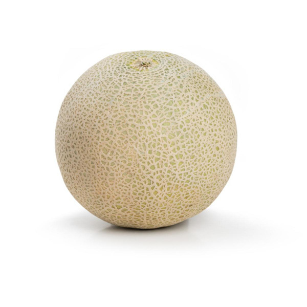 Produktfoto zu Melone, Cantaloupe
