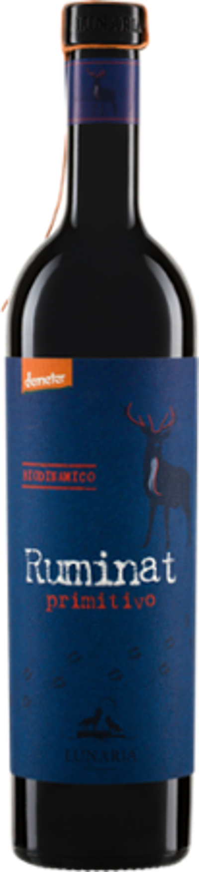 Produktfoto zu Ruminat Primitivo Terre di Chieti IGP, halbtrocken