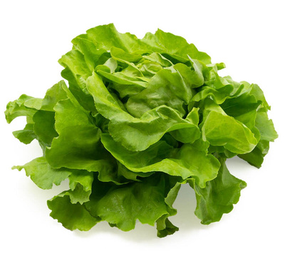 Produktfoto zu Kopfsalat