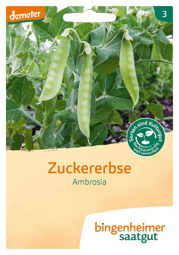 Produktfoto zu Saatgut Zuckererbse