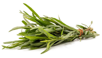 Produktfoto zu Kräuter, Estragon