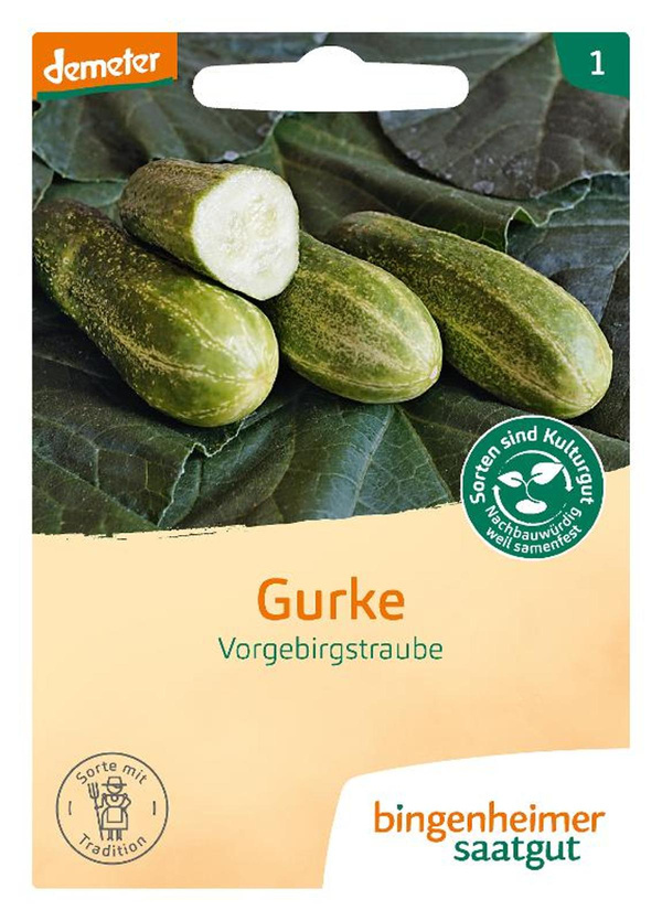 Produktfoto zu Saatgut Gewürz Gurke Vorgeb.Traube