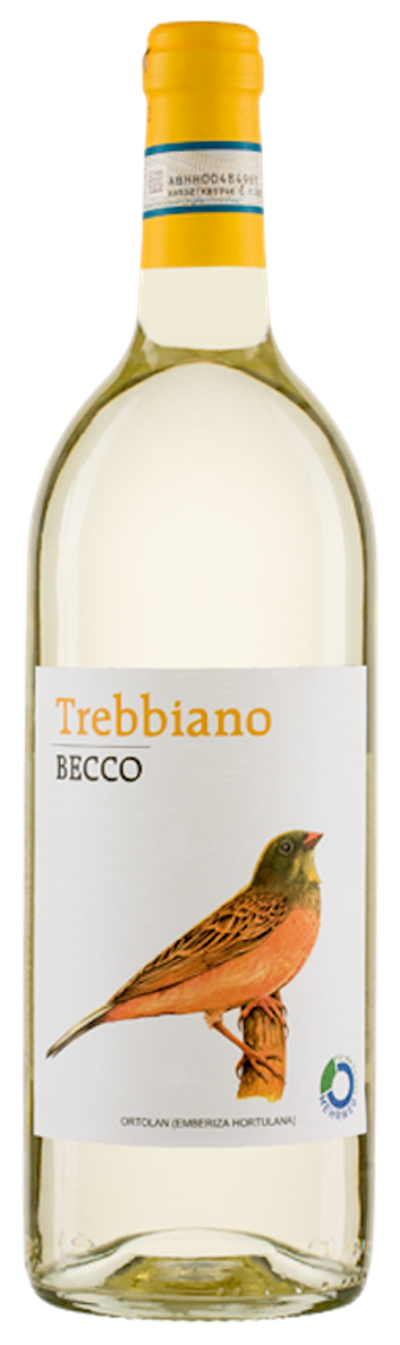 Produktfoto zu Becco Trebbiano, weiß, trocken