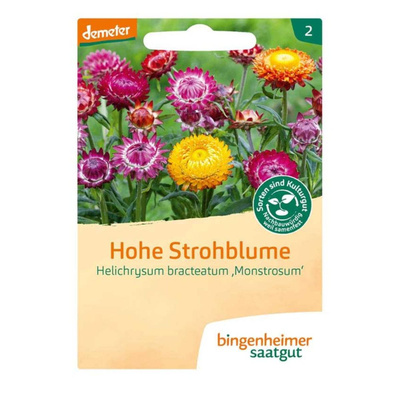 Produktfoto zu Saatgut Hohe Strohblume
