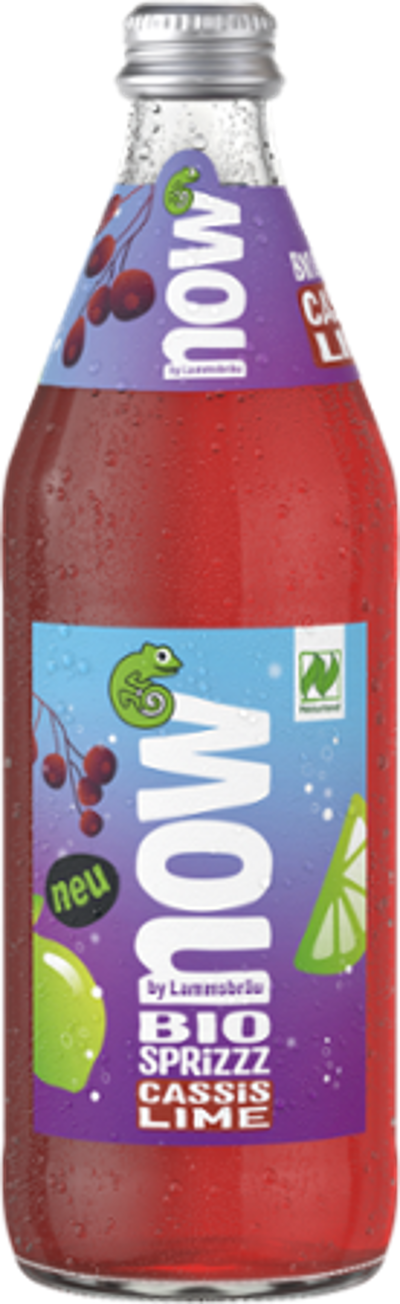 Produktfoto zu  10x0,5l now Cassis Lime