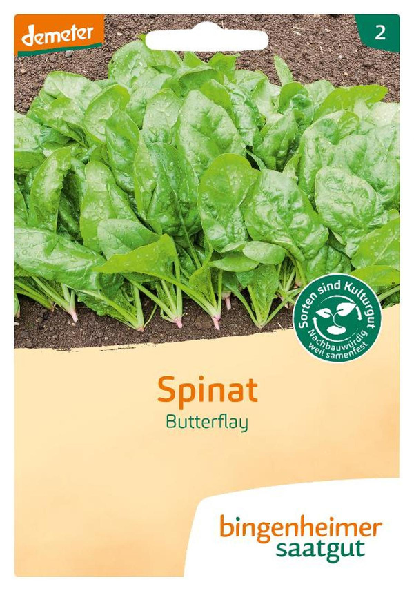 Produktfoto zu Saatgut Spinat Butterfly