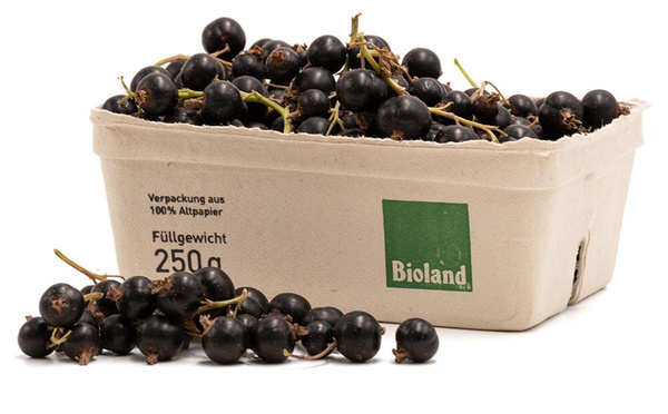 Produktfoto zu 250g  Johannisbeeren schwarz