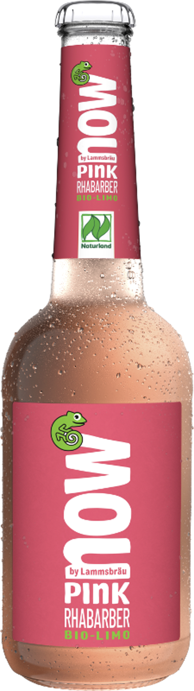 Produktfoto zu Pink Rhabarber, 10x0,33l