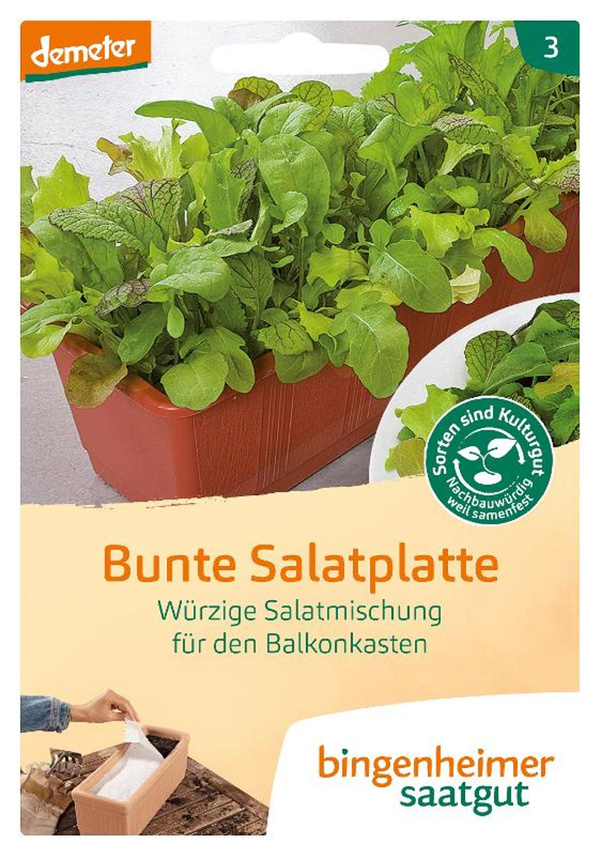 Produktfoto zu Saatgut, bunte Salatplatte