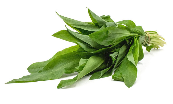 Produktfoto zu Bärlauch