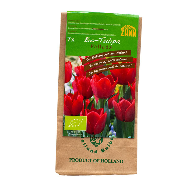 Produktfoto zu Blumenzwiebeln Tulpen 7 Stück
