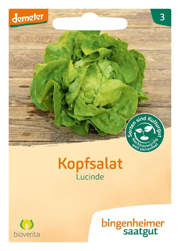 Produktfoto zu Saatgut Kopfsalat