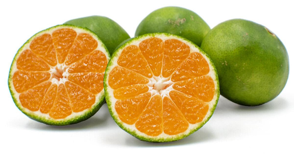 Produktfoto zu Satsumas