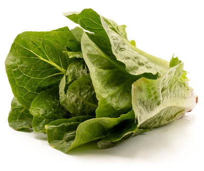 Produktfoto zu Romanasalat