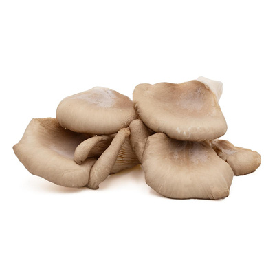 Produktfoto zu Austernseitlinge