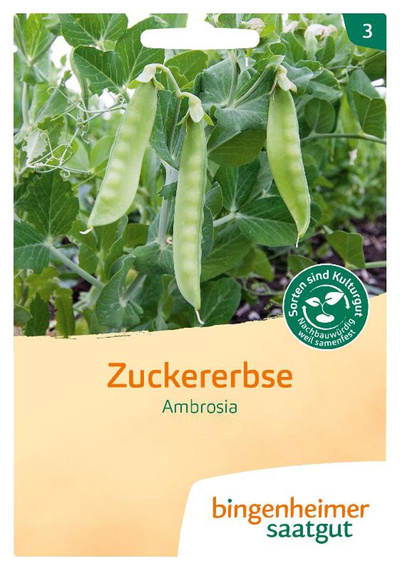 Produktfoto zu Saatgut Zuckererbse