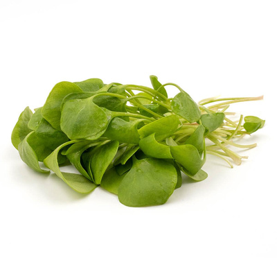 Produktfoto zu Salat, Postelein