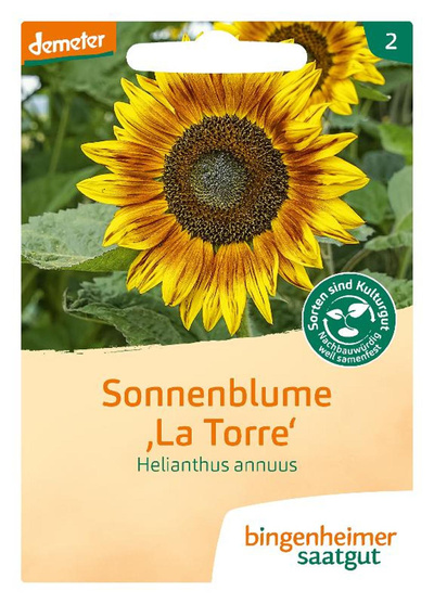 Produktfoto zu Saatgut Sonnenblume