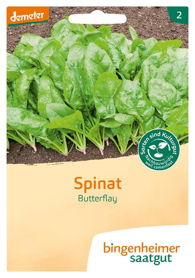 Produktfoto zu Saatgut Spinat Butterfly