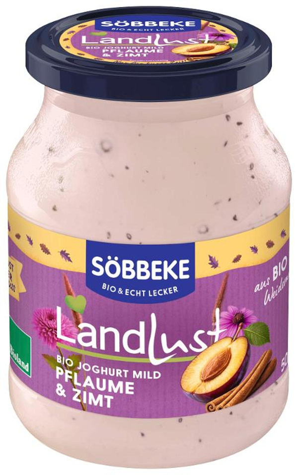 Produktfoto zu Joghurt Pflaume Zimt 3,8% 500g