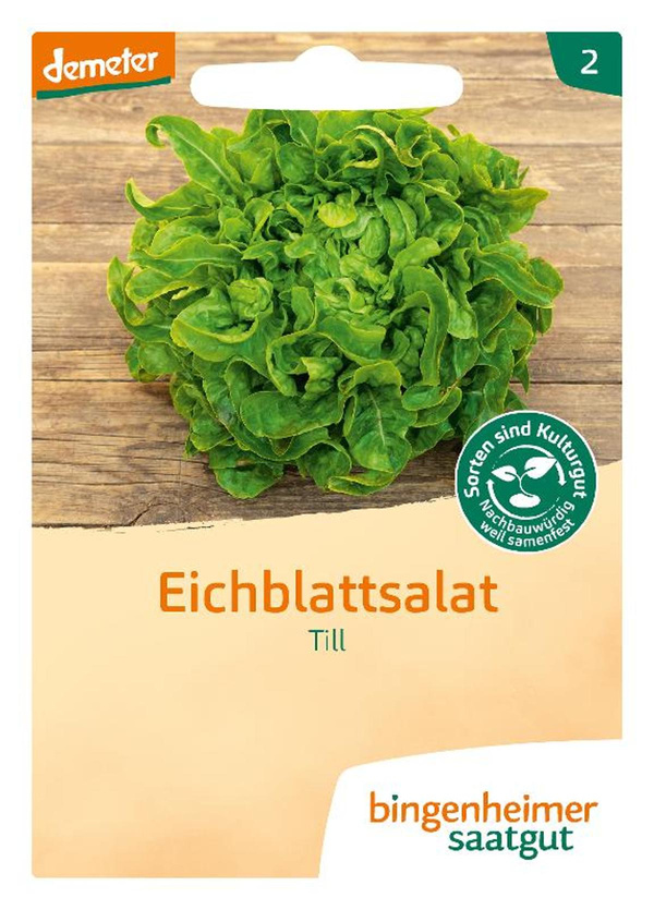 Produktfoto zu Saatgut Eichblattsalat 'Till'