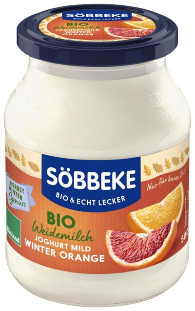 Produktfoto zu Joghurt Winter Orange 3,8% 500g
