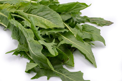 Produktfoto zu Löwenzahnsalat