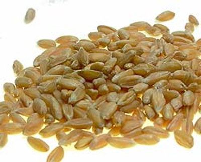 Produktfoto zu Dinkel 25 kg