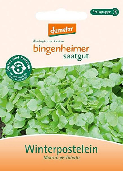 Produktfoto zu Saatgut Winterpostelein