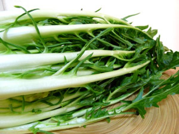 Produktfoto zu Puntarelle, ital. Gemüse
