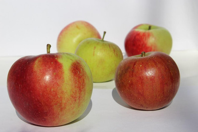 Produktfoto zu Streuobst-Apfel, alte Sorten