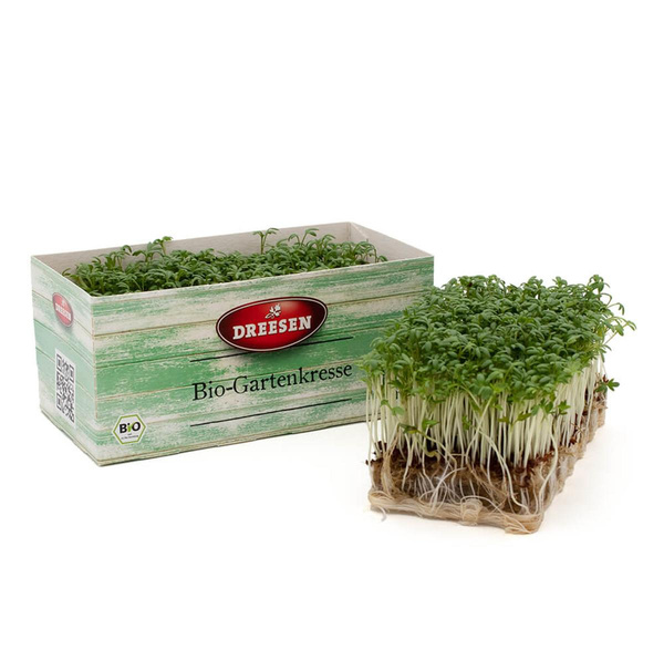 Produktfoto zu Kresse