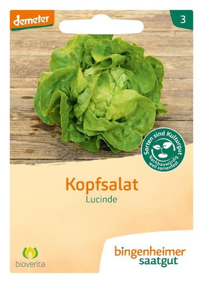 Produktfoto zu Saatgut Kopfsalat