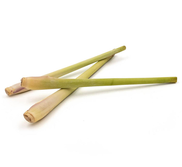 Produktfoto zu Kräuter, Zitronengras