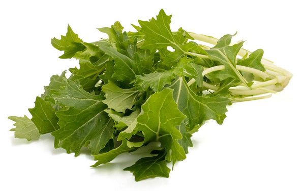Produktfoto zu Stielmus 200g Bund