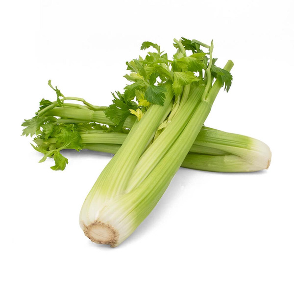 Produktfoto zu Staudensellerie