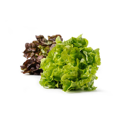 Produktfoto zu wechselnder Salat, eigene Ernte