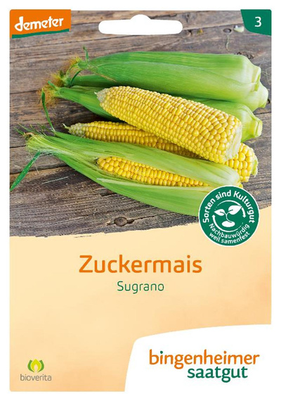 Produktfoto zu Saatgut Zuckermais Bantam