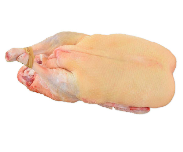 Produktfoto zu Flugente 2kg