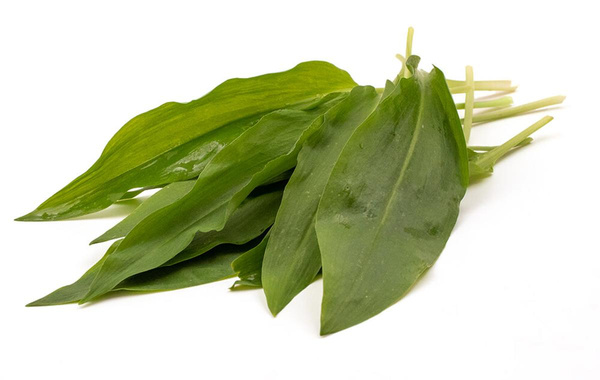 Produktfoto zu Salat Bärlauch