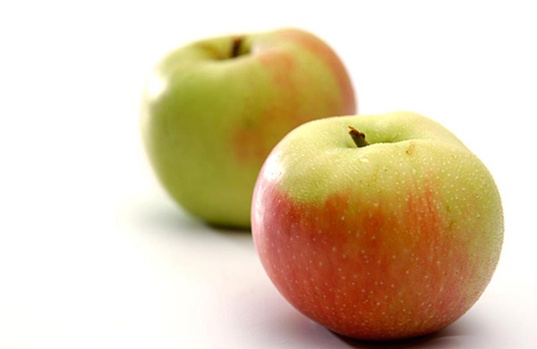 Produktfoto zu Apfel, Akane